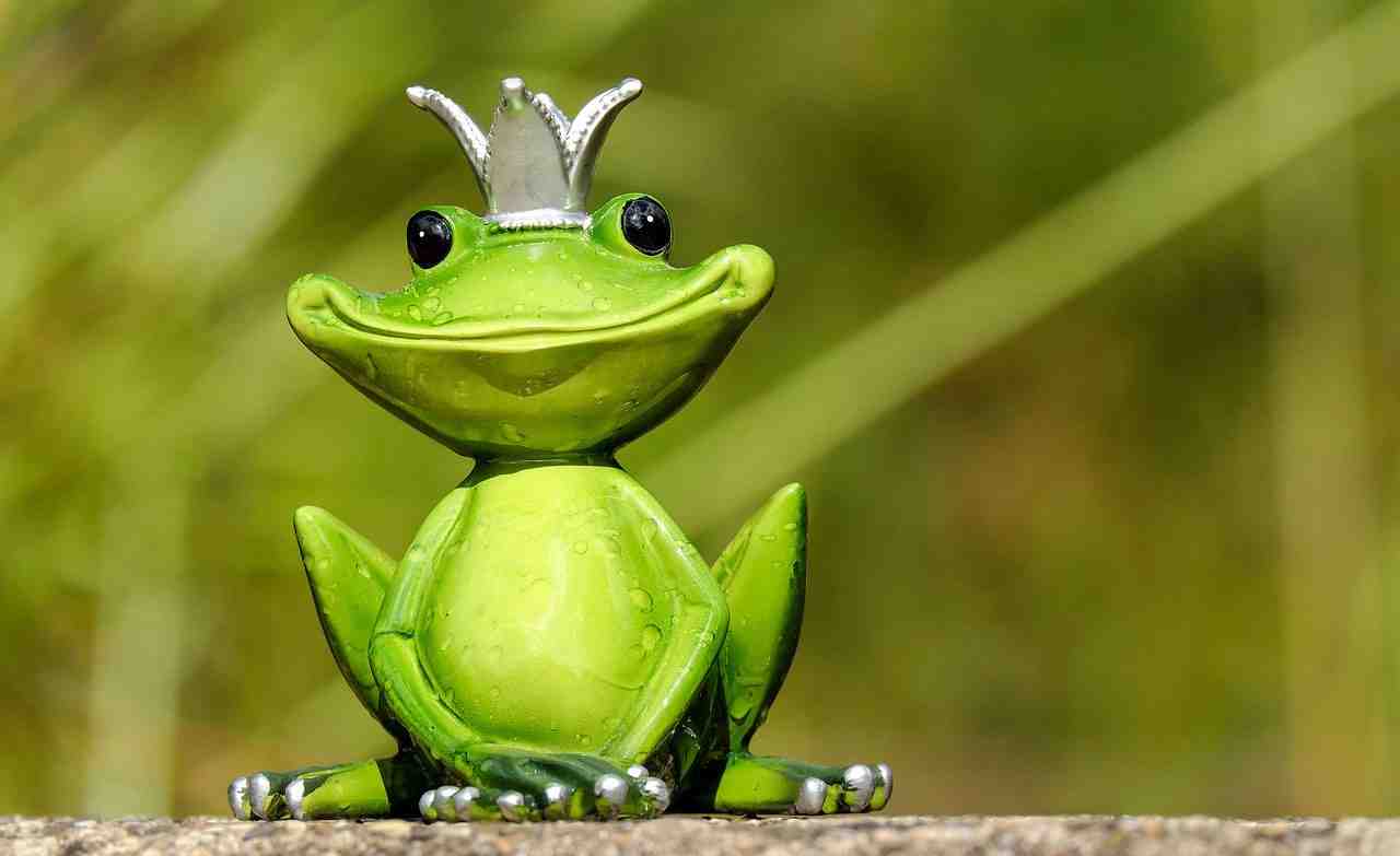 grenouille, prince grenouille, prince